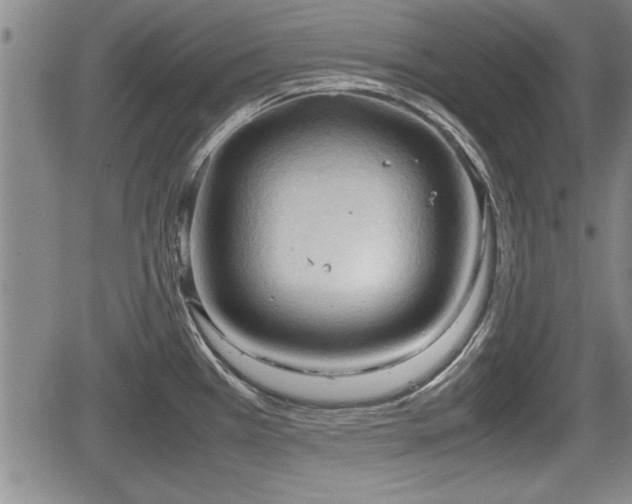 X0000067521385200604101315