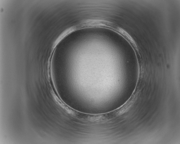 X0000067521386200604101315