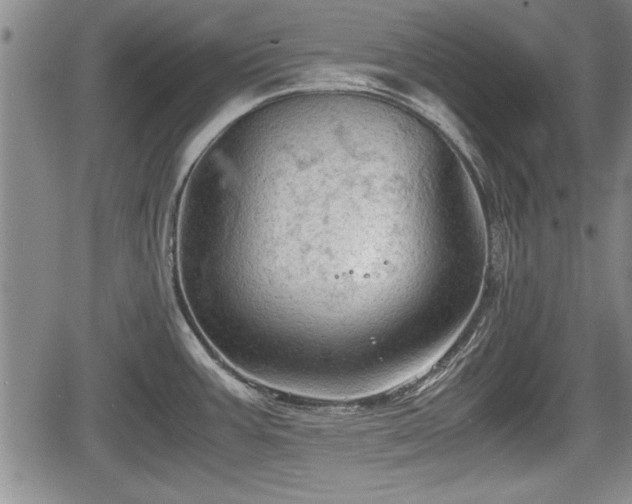 X0000067521387200604101315