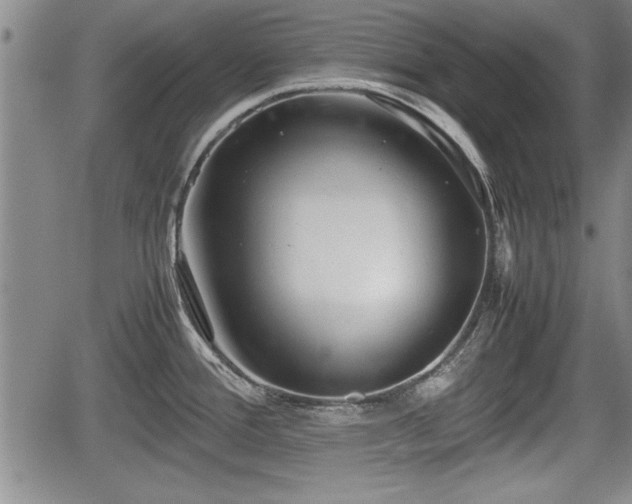 X0000067521388200604101315