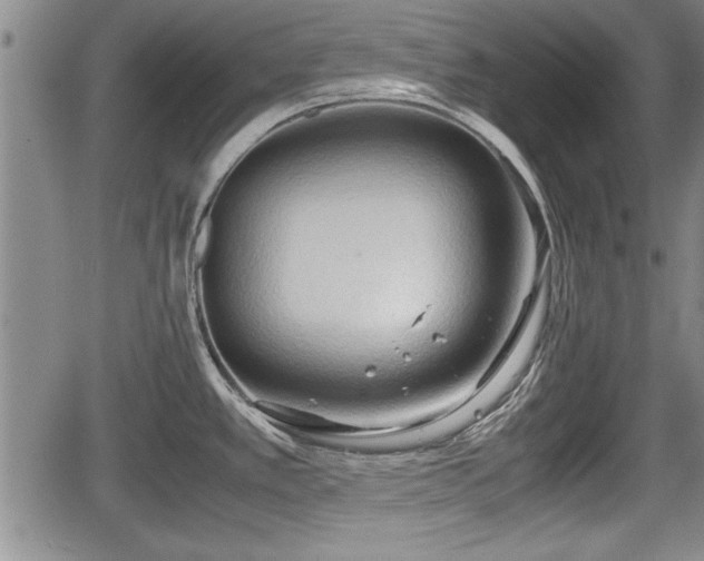 X0000067521389200604101315