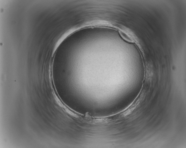 X0000067521390200604101315