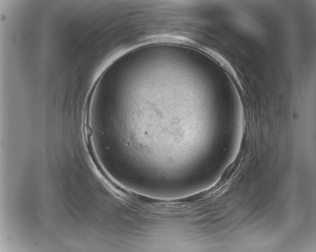 X0000067521391200604101315