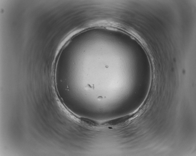 X0000067521392200604101315