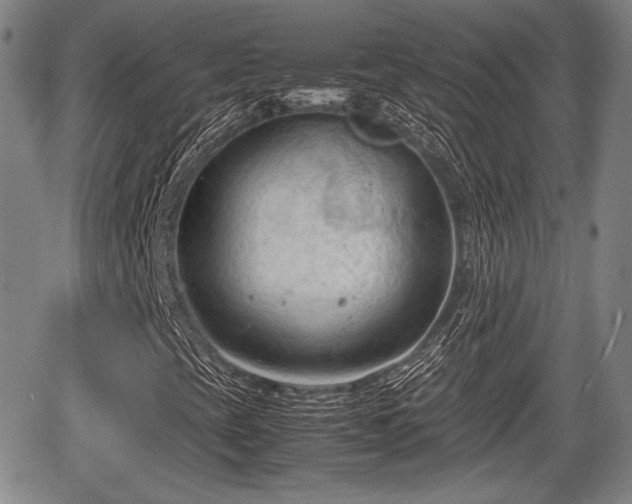 X0000067521393200604101314