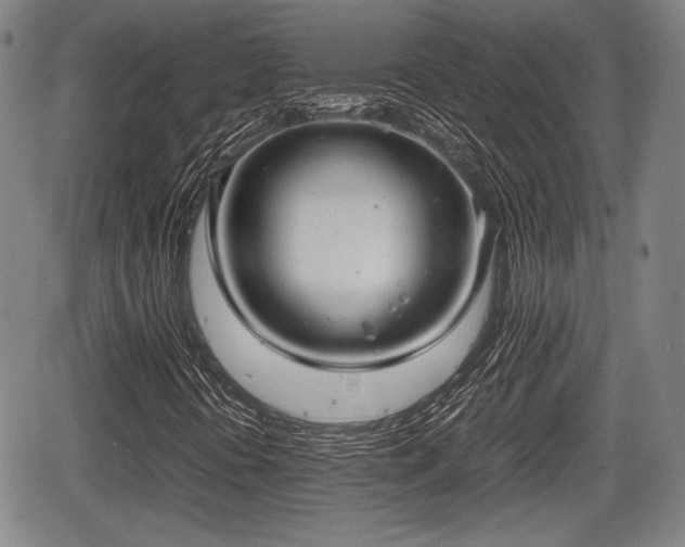 X0000067521394200604101314