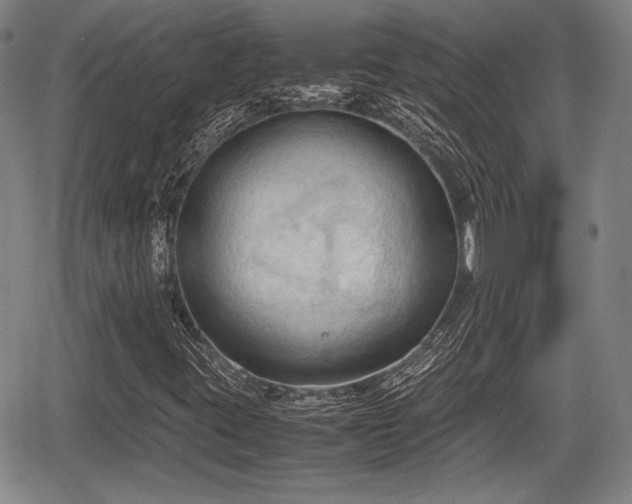 X0000067521395200604101315