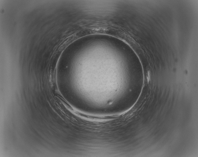 X0000067521396200604101315