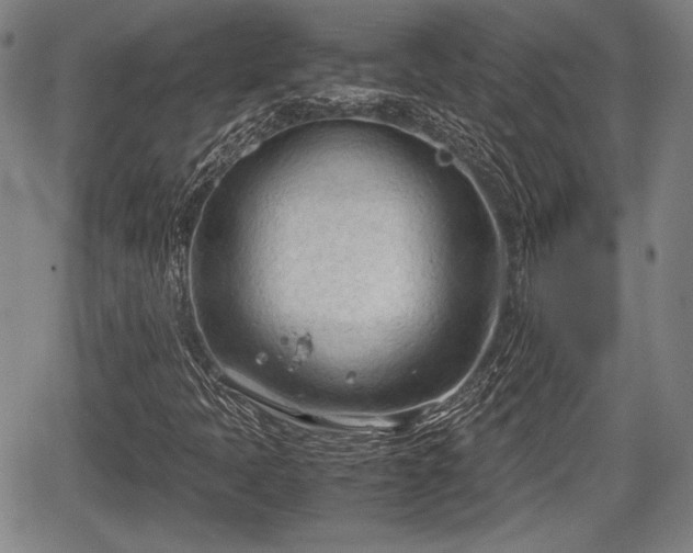 X0000067521397200604101315