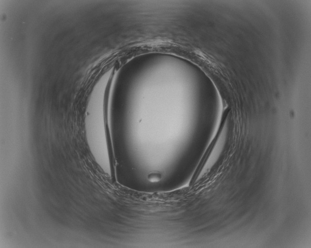 X0000067521398200604101315