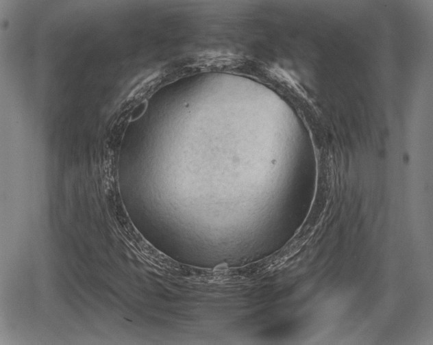 X0000067521399200604101315