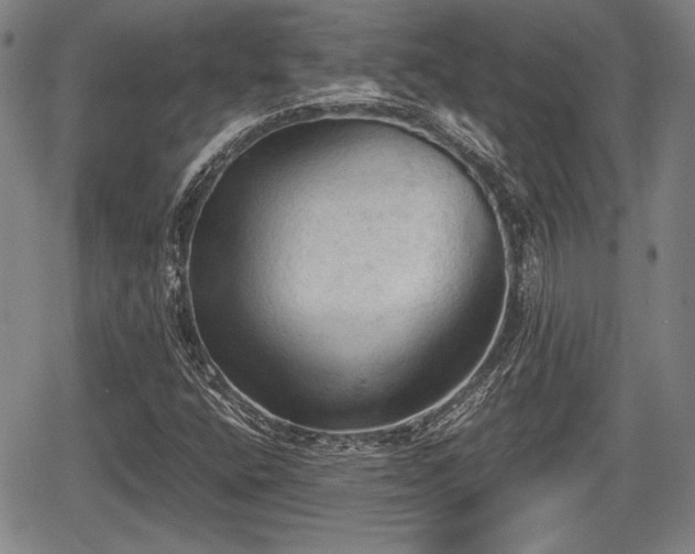 X0000067521400200604101315