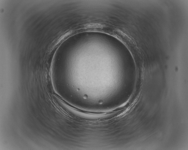 X0000067521401200604101315