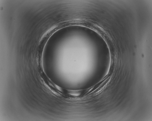 X0000067521402200604101315