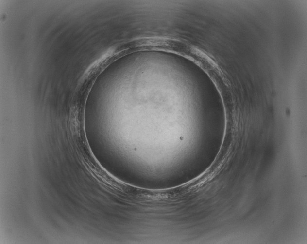 X0000067521403200604101315