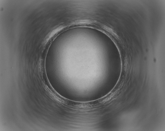 X0000067521404200604101315