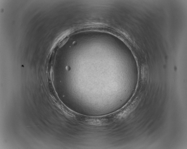 X0000067521405200604101315