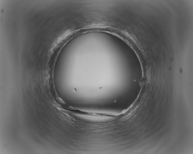 X0000067521406200604101315