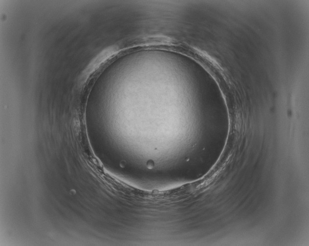 X0000067521407200604101315