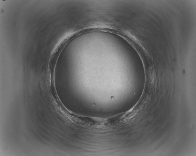 X0000067521408200604101315