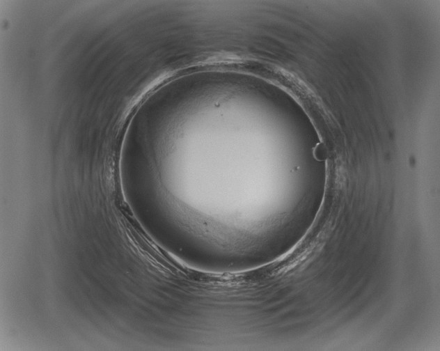 X0000067521409200604101315