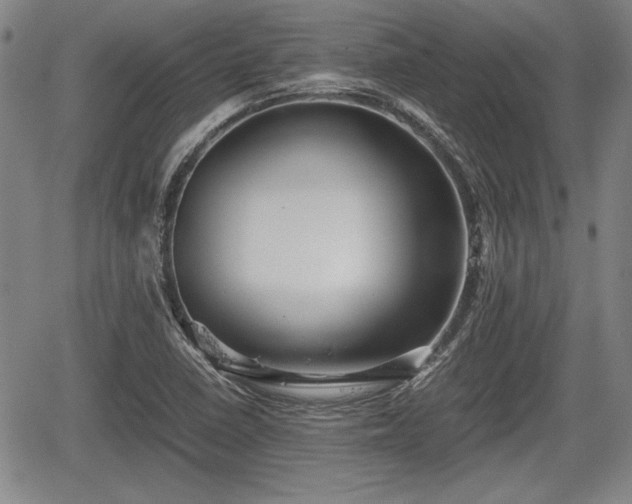 X0000067521410200604101315