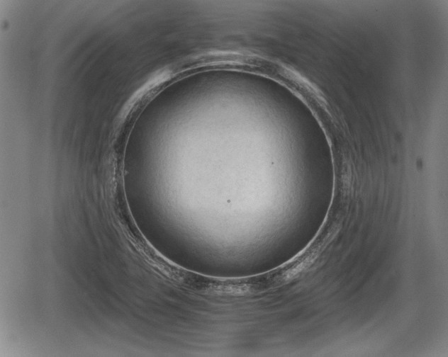 X0000067521411200604101315