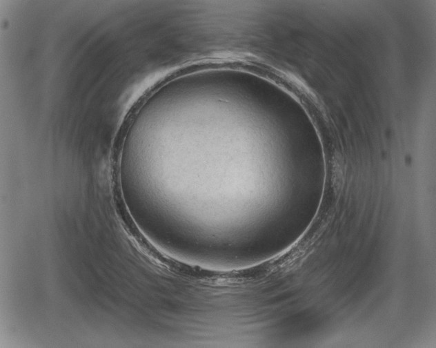 X0000067521412200604101315