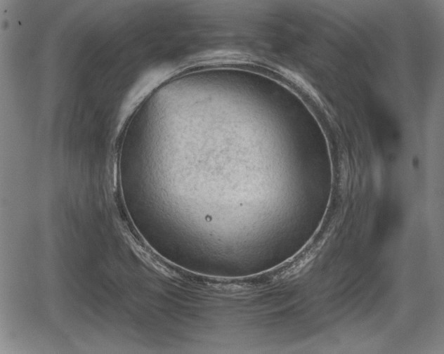 X0000067521413200604101315