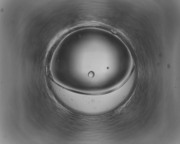 X0000067521414200604101315