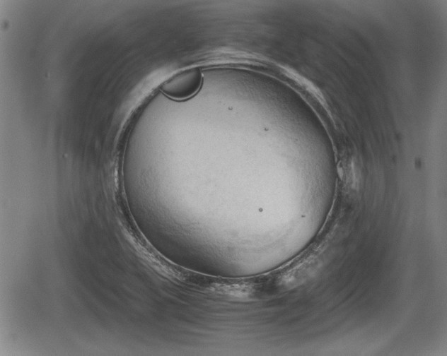 X0000067521415200604101315