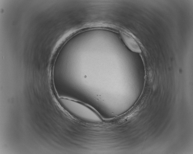 X0000067521416200604101315