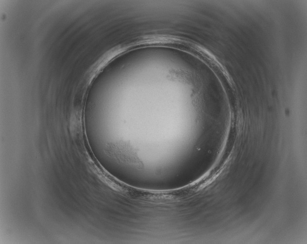 X0000067521417200604101315