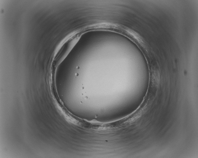 X0000067521418200604101315