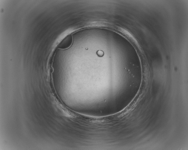 X0000067521419200604101315