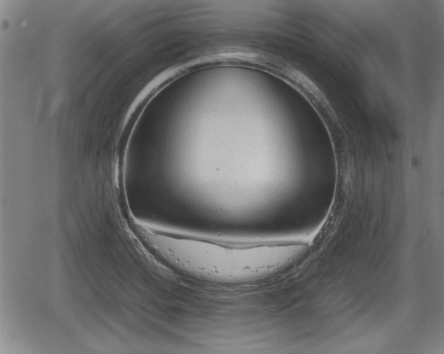 X0000067521420200604101315