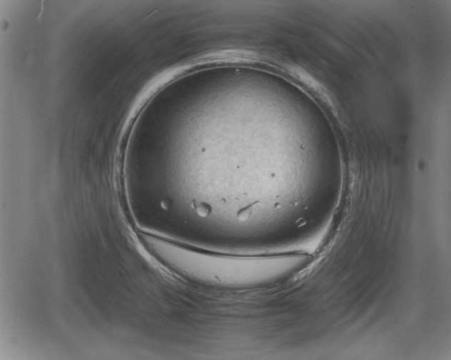 X0000067521421200604101315