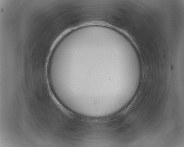 X0000067521422200604101315