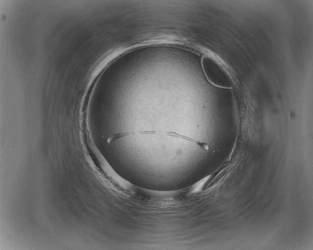 X0000067521423200604101315