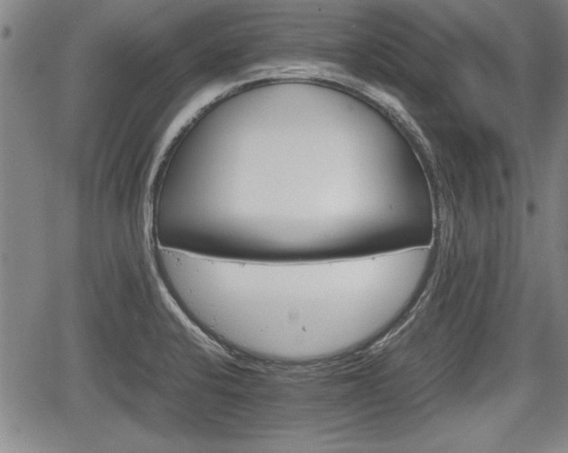 X0000067521424200604101315