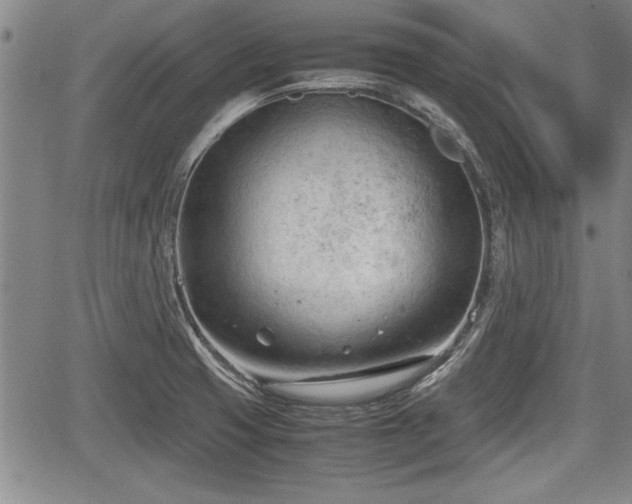 X0000067521425200604101315