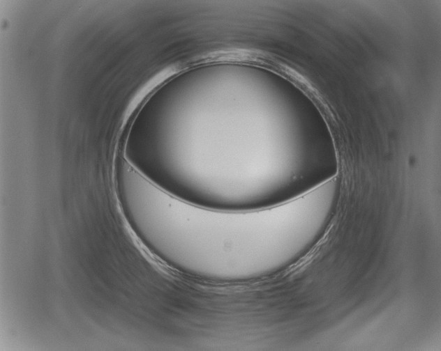 X0000067521426200604101315