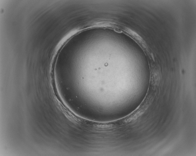 X0000067521427200604101315