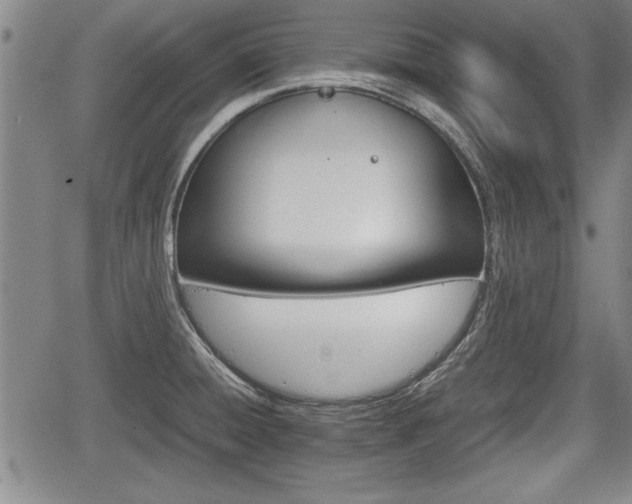 X0000067521428200604101315