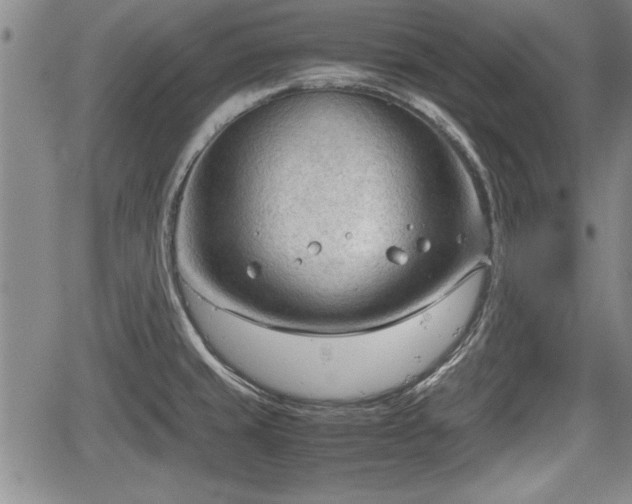 X0000067521429200604101315