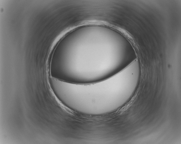 X0000067521430200604101315