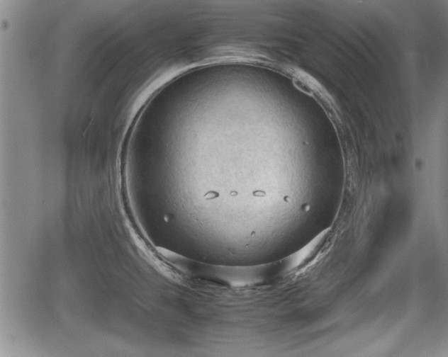 X0000067521431200604101315