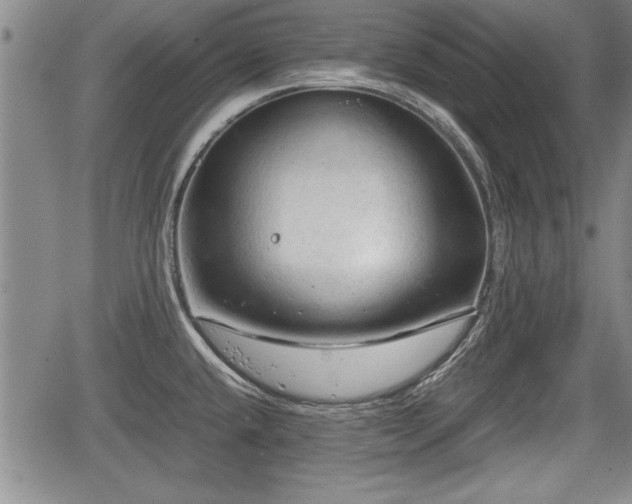 X0000067521432200604101315