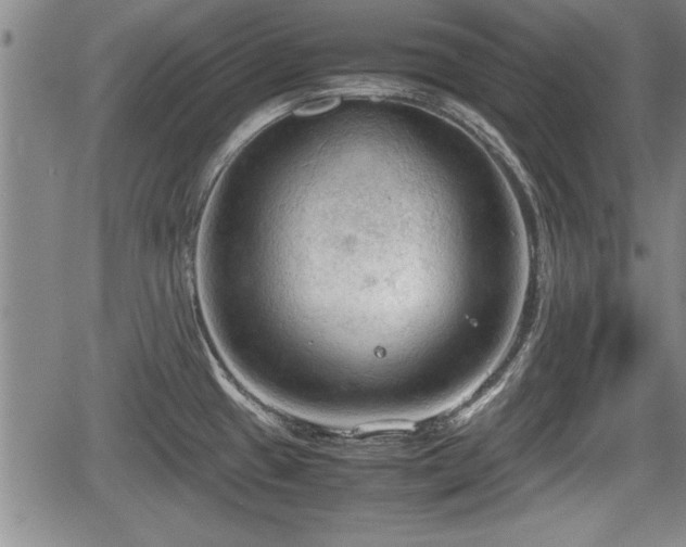 X0000067521433200604101315