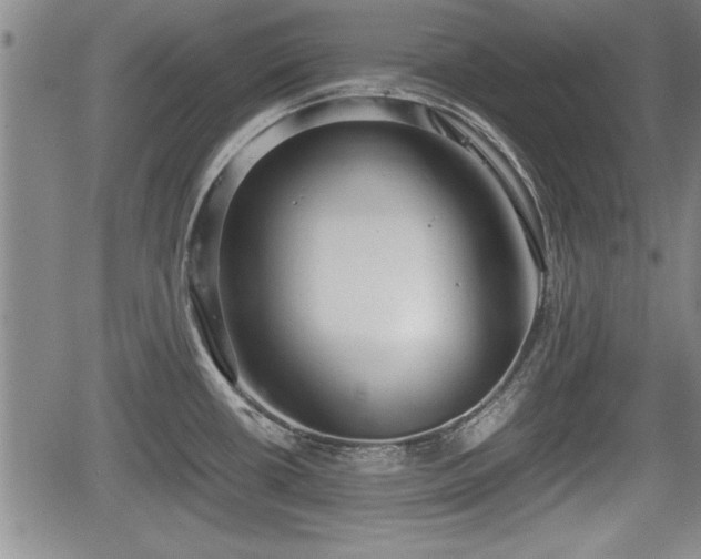 X0000067521434200604101315